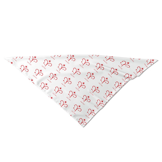 Unisex Silk Bandana