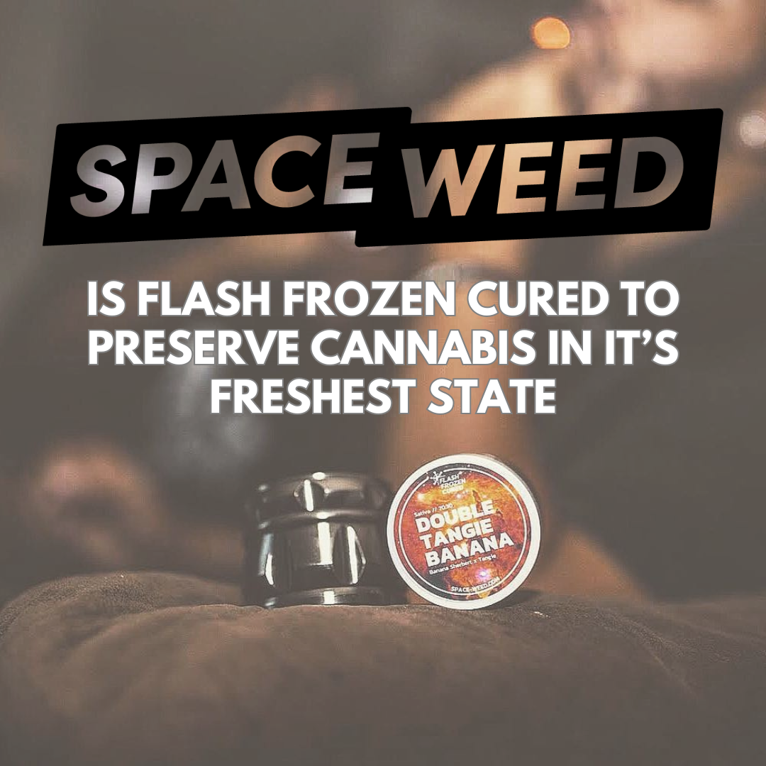 Flash Frozen Cured Tech- How Space Weed Was Founded
