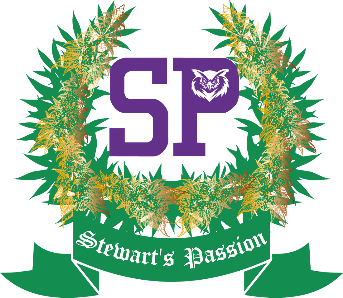 Unleashing the Power of Stewart’s Passion: What We Offer &amp; Your Exclusive Discount