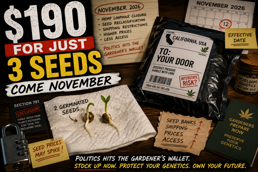 Seeds In November Could Hit $190 For Just 3 Seeds?