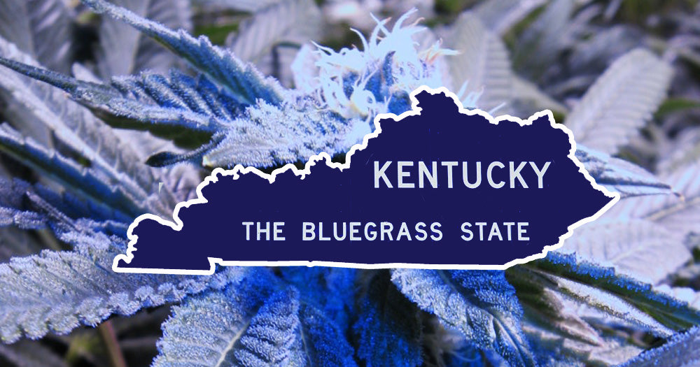 Kentucky's Cannabis Executive Order