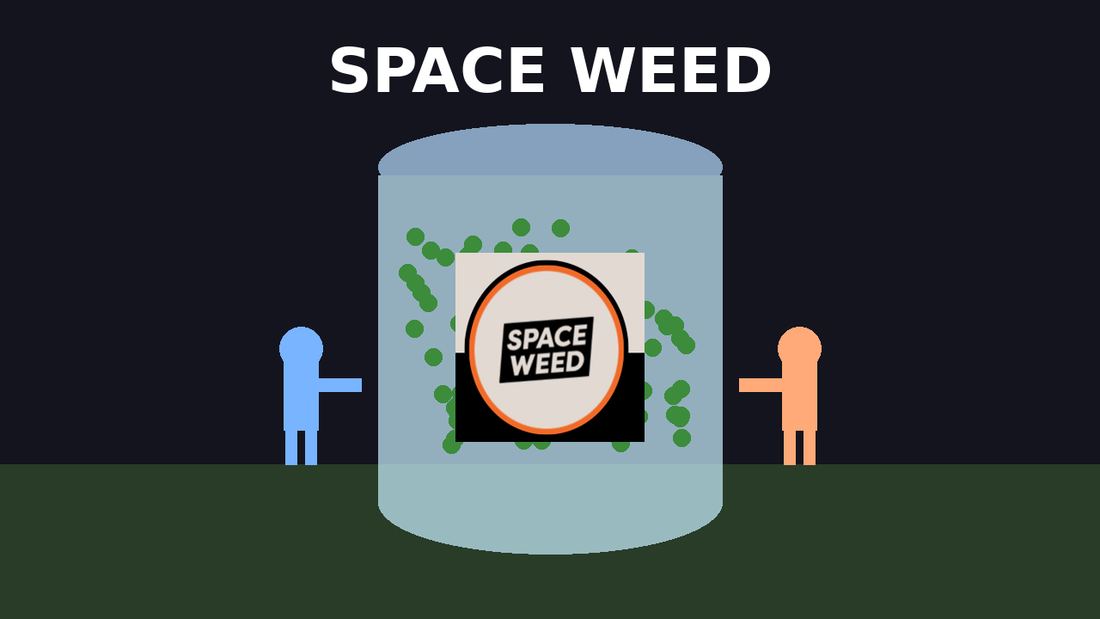 GSC- Next Lvl With Space Weed